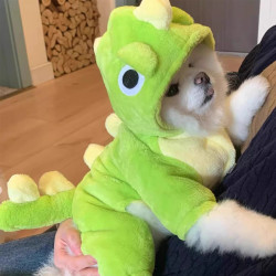 Dog Clothes Autumn and Winter New Cute Dinosaur Costume Teddy Bichon Pomeranian Small Puppy Warm Pet Four-Legged Clothing