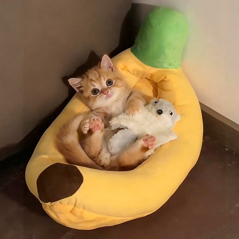 img2