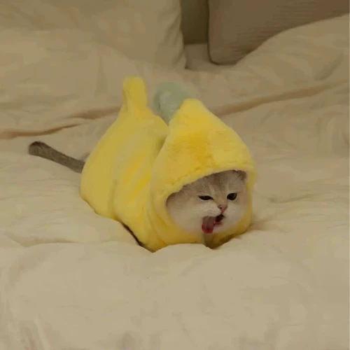 Одежда для кошек, милая трансформирующаяся одежда в виде банана, осенне-зимняя плюшевая бархатная утепленная теплая кукольная одежда с золотым градиентом, котята, домашние животные, собаки