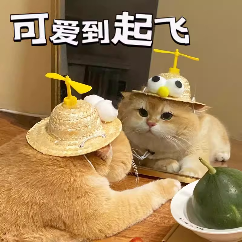 猫咪帽子狗狗 草帽可爱头饰泰迪柴犬小型犬搞笑头盔遮阳帽装饰用品