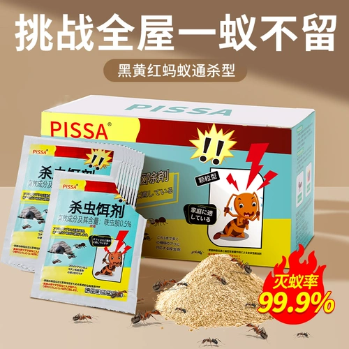 Муравьиная медицина Один горшок с домохозяйственными термитами и лечение выделенных лекарств -все это в помещении не оксик, муравьев,