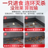 Лекарство от тараканов для домашнего использования, все яйца в гнезде, настоящий флагманский магазин, нет ресторана, одно гнездо, сильный убивающий тараканов клей-приманка