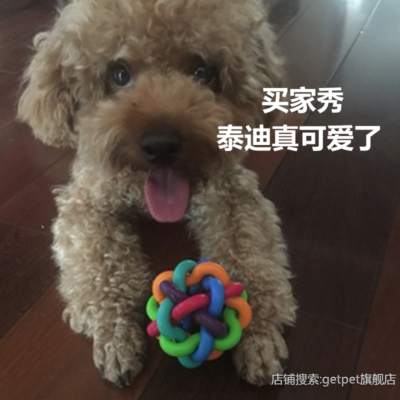 Cat Cat Toy Pooch Leash Jump Ball Rubber Ball 7 Lots of Bell Ball Pet Supplies Toy