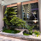 New Chinoiserie Simulated Welcoming Pine Indoor Landscaping Decoration Landscape Podocarpus Fake Pine Green Plant Window Entrance Corner