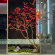 Artificial Maple Tree, Fake Red Maple Tree, Large Shopping Mall, Hotel Green Plants, Fake Trees, Indoor and Outdoor Floor-Standing Simple Decoration and Landscaping