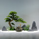 Artificial Pine Tree, New Chinese Style Welcoming Pine, Fake Tree, Green Plant, Floor-Standing Ornament, Entrance Decoration, Landscaping, Indoor Staircase Landscaping