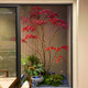 Simulated maple leaf tree, fake red maple tree, large shopping mall, hotel fake tree, indoor and outdoor landing, simple decoration, green plant landscaping