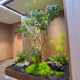 High-Quality Artificial Horsewood Green Plant for Landscaping, Window Display, Indoor Banyan Tree Decoration, Large Artificial Tree, Simple Landscape