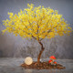 Artificial Maple Tree, Fake Maple Tree, Large Shopping Mall, Hotel Greenery, Fake Tree Decoration, Indoor and Outdoor Landscaping, Red Maple Tree