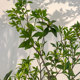 Simulated Horsewood Window Display Plants, Indoor High-End Bionic Green Plants, Decorative Trees, Large Artificial Trees, Simple Landscape