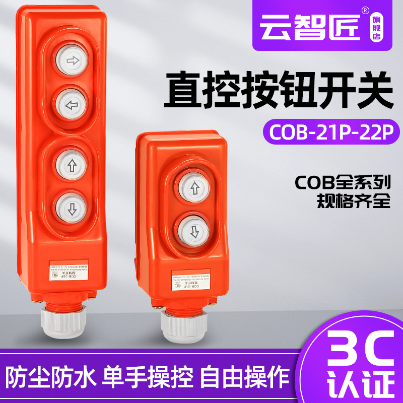 电葫芦升降机上下按钮开关220v380v吊机行车起重机直控COB-21P