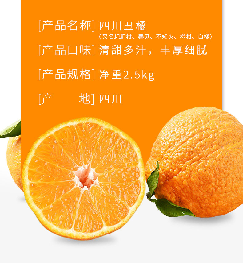 四川不知火丑橘 耙耙柑 5斤 图2