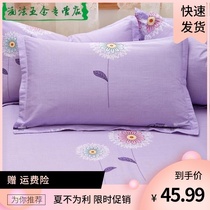 Comfortable cotton pillowcase Purple Dandelion pillowcase Cotton pair of student dormitory single 48X74 pillow core cover