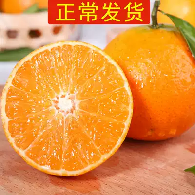(Regular hair) navel orange fresh seasonal pregnant women fruit net weight 9kg orange whole box of rock sugar