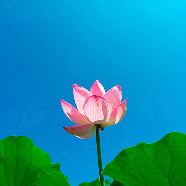 月湖佳新仓