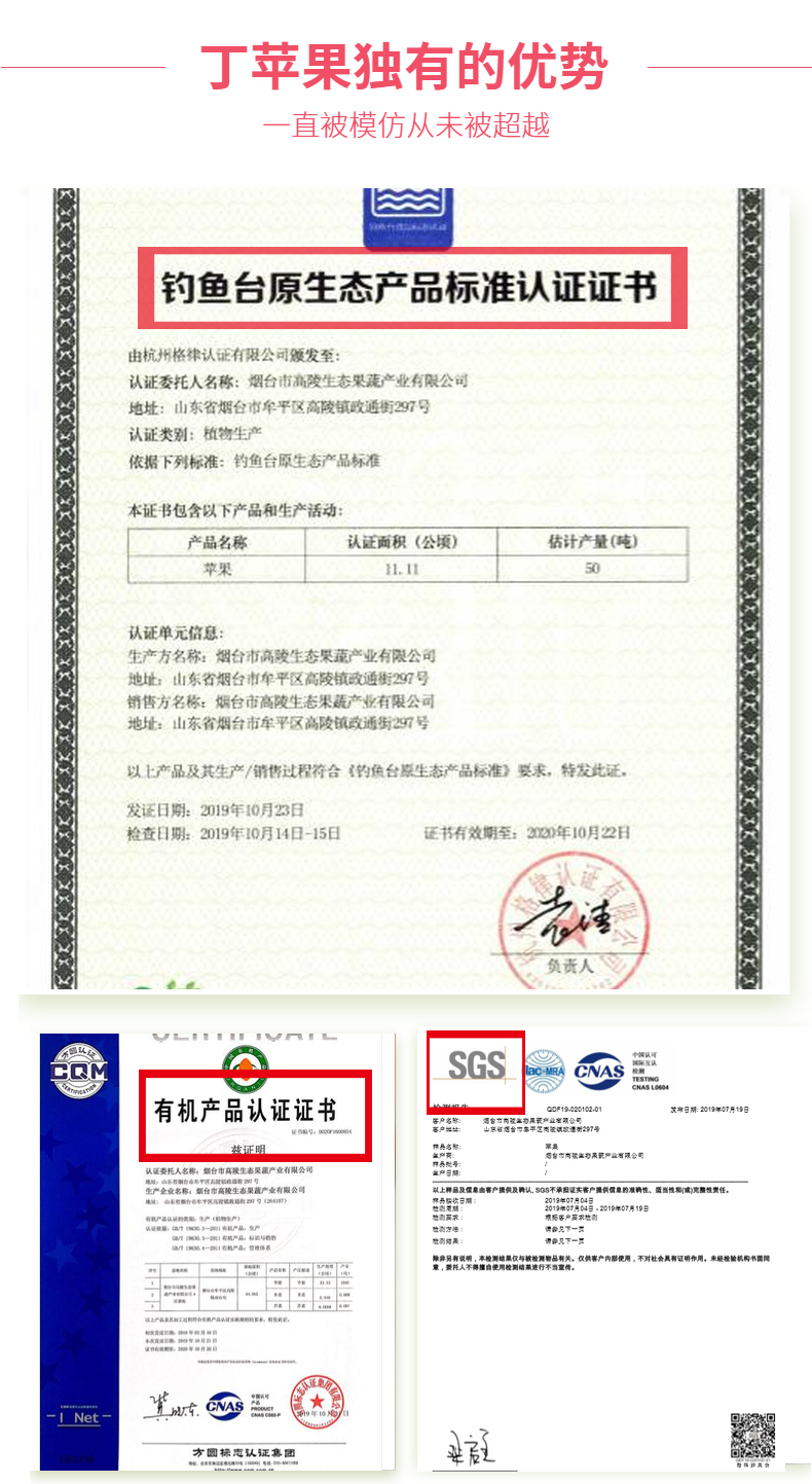 烟台丁苹果 有机红富士 5斤 SGS国际检测 图3