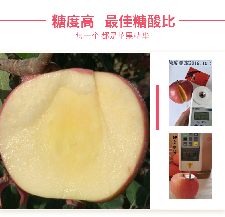 烟台丁苹果 有机红富士 5斤 SGS国际检测 图6