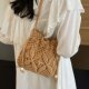 Woven Straw Bag Women's Summer Versatile 2025 New Fashion Niche Design Crossbody Bucket Bag Seaside Beach Bag