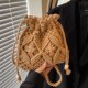 Woven Straw Bag Women's Summer Versatile 2025 New Fashion Niche Design Crossbody Bucket Bag Seaside Beach Bag