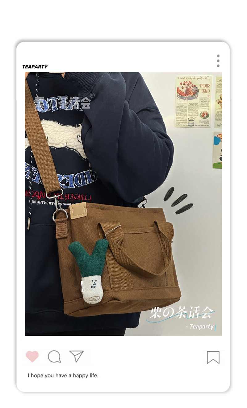 Мода холст 森系帆布包多分格手提袋女 日系ins学生上课通勤小拎包上班斜挎包 Bamruyalek