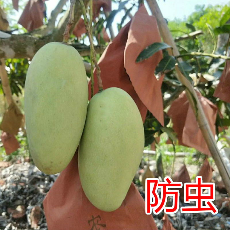 Special Mango Bags, Mango Insect-Proof Bags, Protective Mango Paper Bags Special Mango Bags, Mango Insect-Proof Bags, Protective Mango Paper Bags