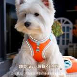 Регулируемая универсальная водонепроницаемая майка топ, подтяжки