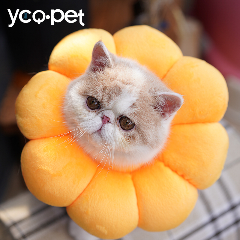 Sunflower Kitsch Elizabeth Circle Dog headgear Soft cloth Shame Circle Neck Sunflower Neuter Anti Licking Cat Moss