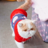 Удерживающий тепло рождественский красный трикотажный милый свитер