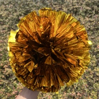 Большое золотое кольцо