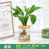 Золотой бриллиант