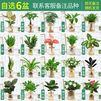 Выберите 6 раковин и свяжитесь со службой поддержки клиентов.