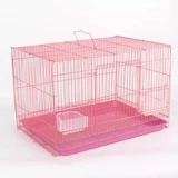 Голландская свинина, мыши с дельфином, живое тело кролика с клеткой