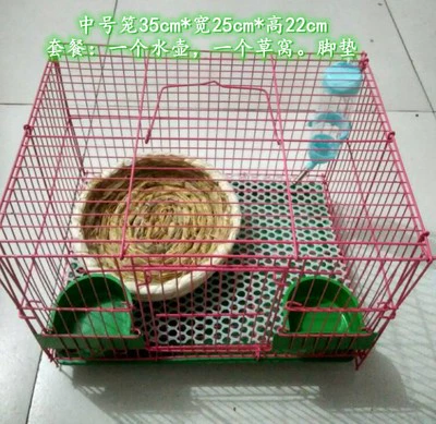 Голландская свинина, мыши с дельфином, живое тело кролика с клеткой