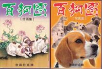 Poker card collection Hundred Pictures Series Hundred Dog Pictures two pairs set of collectible poker cards