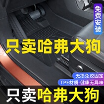 Applicable Haverfoot Dog Footbed Full Siege of Harvard Big Dog Reform Decorative Items Special Waterproof TPE Car Foot Pads