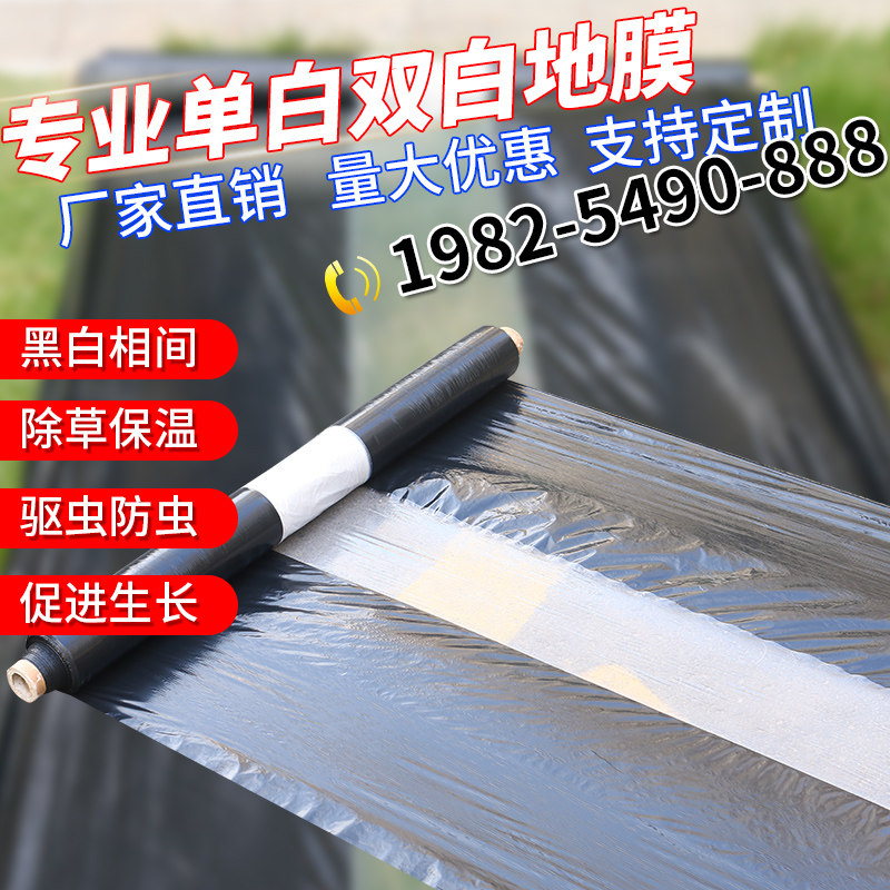 Agricultural black and white mulch film double white single white mulch film silver black two-color reflective film strawberry fruit tree insulation film