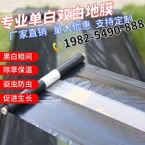 Agricultural black-and-white mulch mulch double white single white mulch silver black bicolor film strawberry fruit tree insulation film