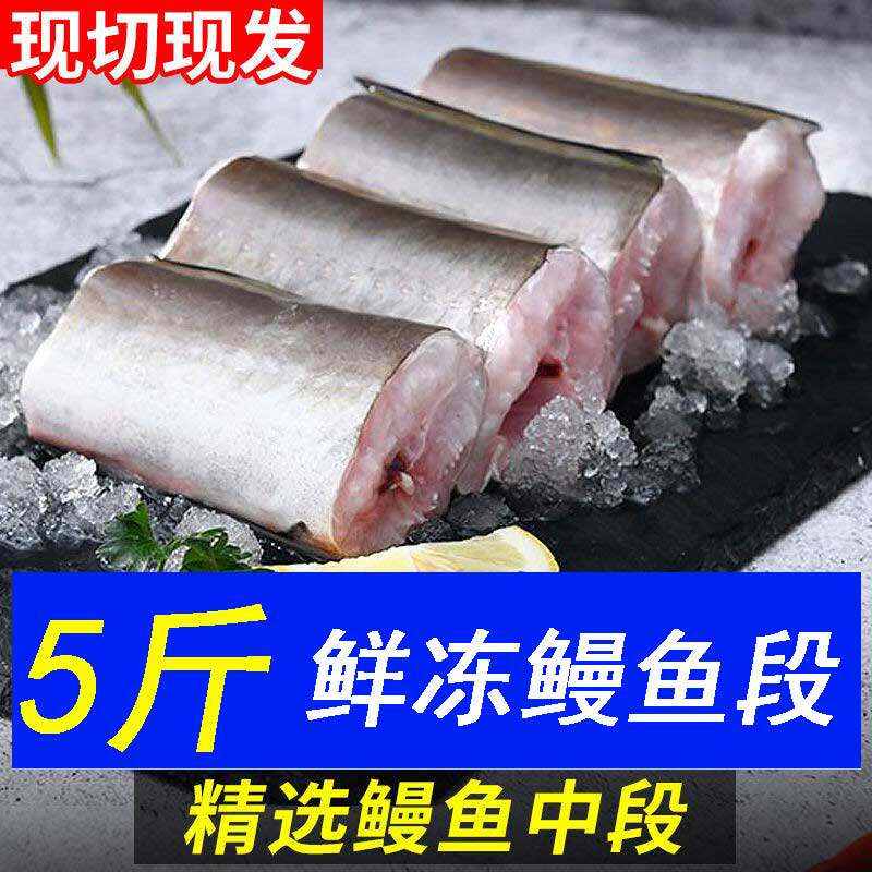 5 catties of frozen sea eel middle section large section fresh eel block deep sea fish fresh seaman fish