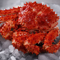 1000-800 Russian king crab fresh and cooked frozen King Crab Crab meat high fullness Emperor crab oversized crab legs