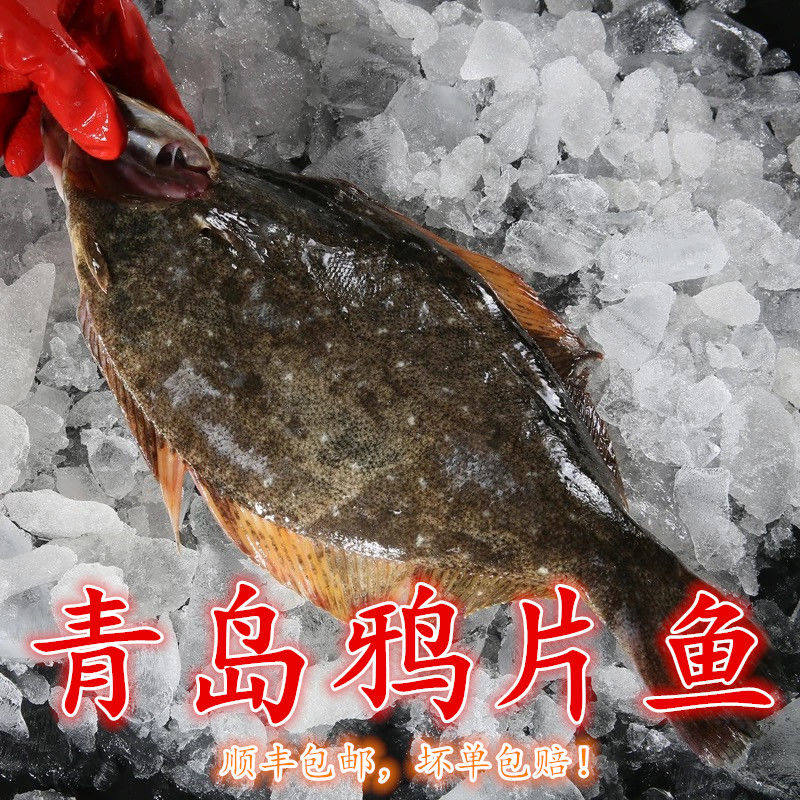 Fresh opium fish 1 5-2 catfish Tooth Fillet Fish Biome Fish Bigoto Fish Opium Partial Fish Seafood Aquatic Products