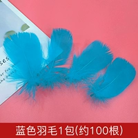 Мешок с синими перьями