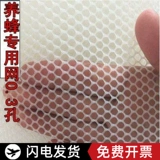 1 курица miao net yue chican кровать, сеть размножения, куриная сетка, пластиковая куриная курица с куриной пеной свинич