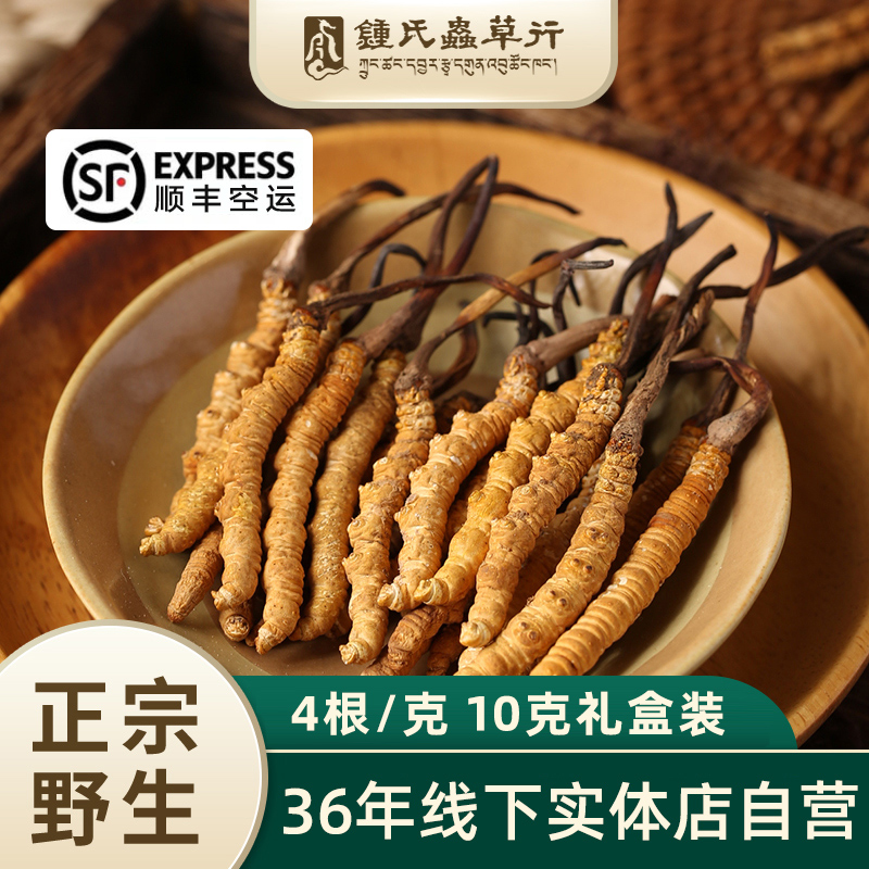 Zhong's Caterpillar Fungus Tibetan Nagar Caterpillar Fungus Head Period Hay Hay 10g Dry Stock Wild 40 Gift Gift Boxes
