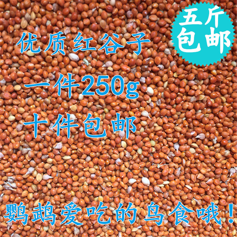 Parrot bird food budgie parrot grain shelled millet cloud spot parrot tiger skin grain red millet 250g five catties