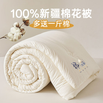 New 100% Xinjiang Cotton Pure Cotton Quilt Core for Spring, Autumn and Winter, Double Full Cotton Bedding 200X230Cm