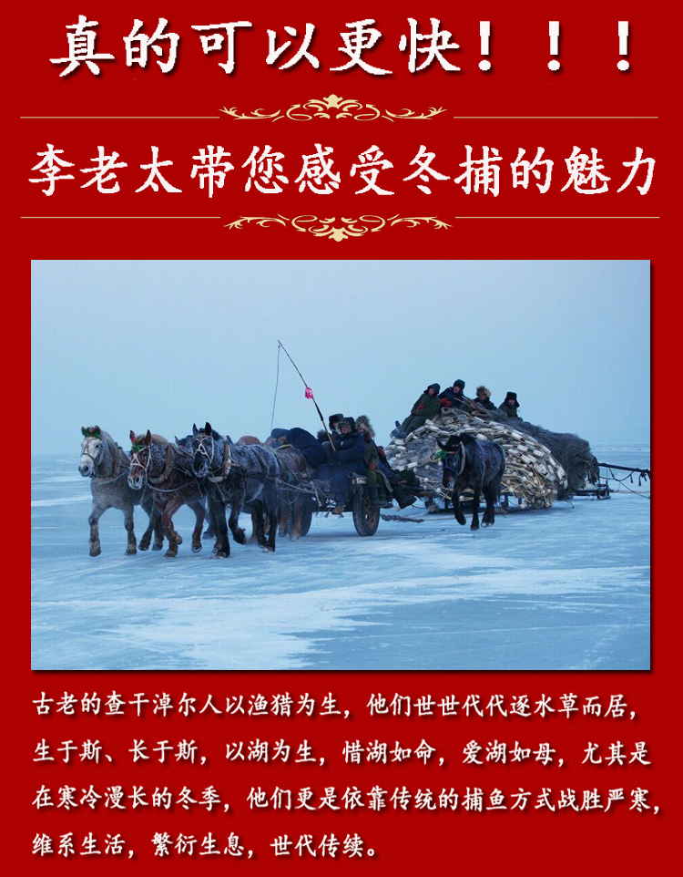 查干湖 有机野生胖头鱼 5斤 年货礼盒装 图3