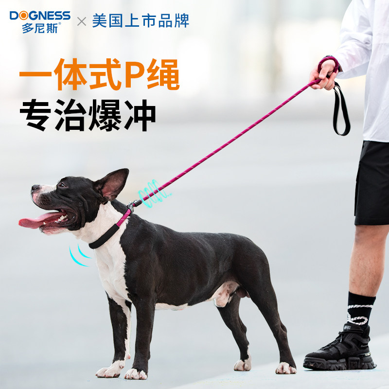 Donis Dongdog P-chain traction rope professional explosion-proof puppy rope gold hair in large dog training walking puppy p-rope