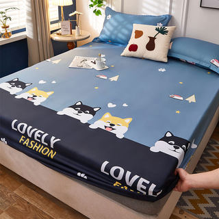 Internet celebrity single-piece summer anti-slip fixed all-inclusive bed cover
