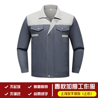 Красочные однослойные светские серые вершины на верхней части пепла