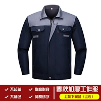 Красочный однослойный серый и скрытый синий верх